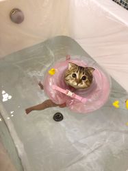 -海豚湾高端月子会所(黄浦店)