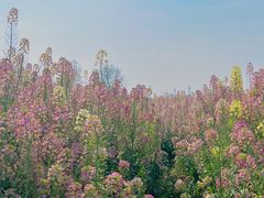 -中国天府农业博览园