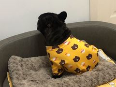 -comecome来吧宠物(奥克斯中心店)