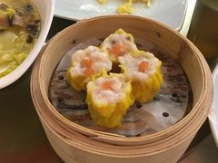 -南枝记