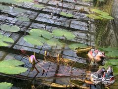 -常州花鸟园酒店(西太湖品牌优选店)