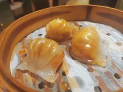 辣辣虾饺-稻香酒家·34年老字号·港式粤菜(侨光店)