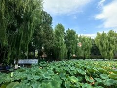 -四川大学(望江校区)