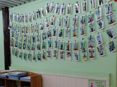 -学知乐教育·幼小衔接·小学科辅导(嘉定镇校区)