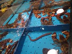 -铂尔台州菜(铂尔国际店)