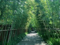 -新荣记(西溪湿地店)