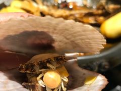 -虾宝贝胶东海鲜·渔家菜(小西天店)