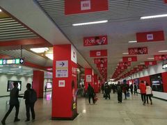 -望京西(地铁站)