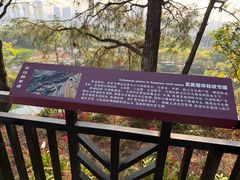 -王借岗森林公园