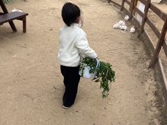 -盈香心动乐园
