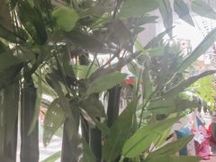 -丽江庭院之丽江往事(安定门店)