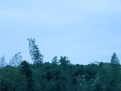 -不觉晓CAMPING(上海迪士尼营地店)