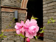 -绿地·中山里
