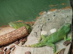 -上海大自然野生昆虫馆