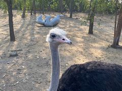 -大连森林动物园