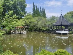 -上海醉白池公园