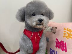 -芭比堂动物医院·24小时·眼科中心(深圳中心)