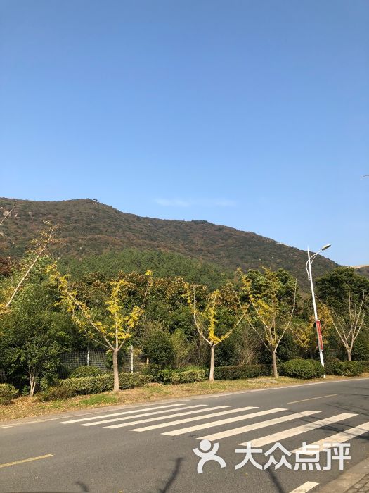 大陽山國家森林公園-圖片-蘇州周邊遊-大眾點評網