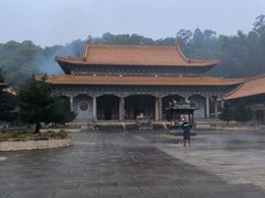 -南宁良凤江国家森林公园