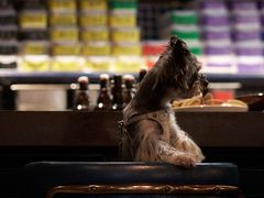 -MAGPIE喜鹊派餐厅(华侨城店)