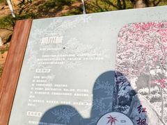 -广州市帽峰山景区