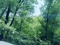 -长春净月潭风景名胜区
