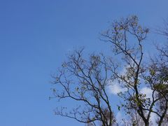 -上海滨江森林公园