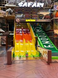 -卡通尼·Safari非洲探索乐园·生日会(金桥国际商业广场店)