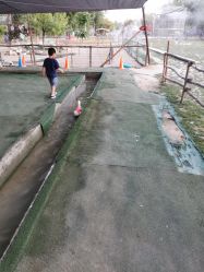 -上美四季动物农场