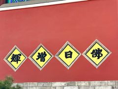 -天津大悲禅院