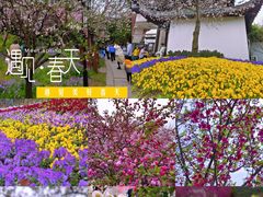 -苏州上方山国家森林公园