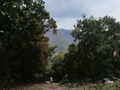 -灵山
