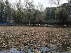 -四川大学(望江校区)