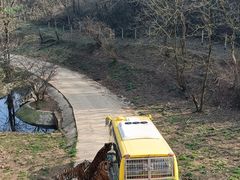 -贵州森林野生动物园
