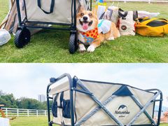 -南京外国语学校(仙林分校西区)