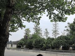 -秦始皇帝陵博物院-丽山园
