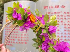 -桂林兴坪漓江