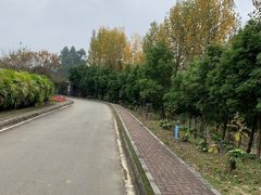 -紫颐香薰山谷景区