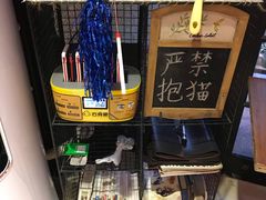 -猫色咖啡·猫咖