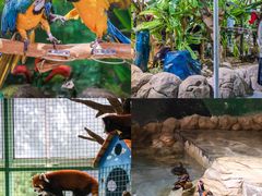 -海合安武汉极地海洋公园