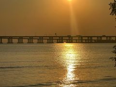 -宝安西湾红树林湿地公园