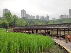 -龙头寺公园