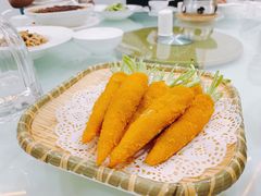 -丁老爷子苏香圆
