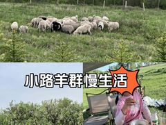 -敕勒川草原文化旅游区