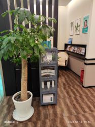 -史云逊养发护发