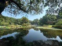 -山外山菜馆(玉泉路店)