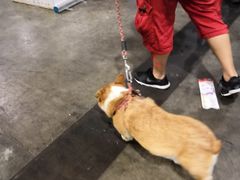 -香港会议展览中心演讲厅