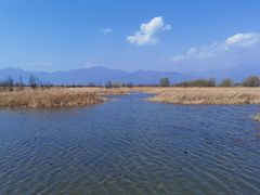 -野鸭湖国家湿地公园