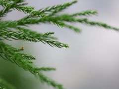 -北川羌城旅游区