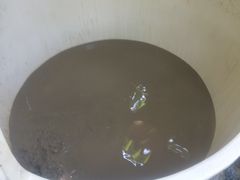 -100蛋泥浆浴
